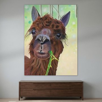 Hey Lama!