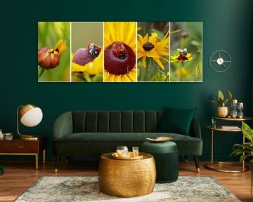 Collage van gele bloemen met lieveheersbeestje en bijtje van Gonnie van Hove