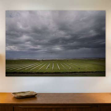 Dunkle Wolken über den Salzwiesen bei Hornhuizen, Groningen