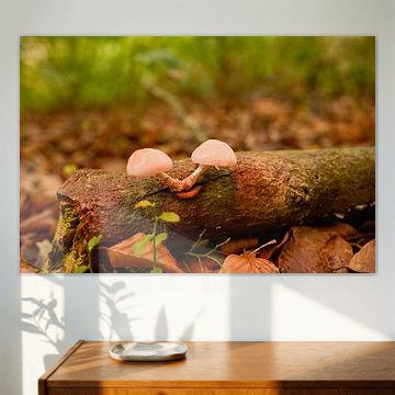 Gemeinsam im Stiltebos von Vague & Form
