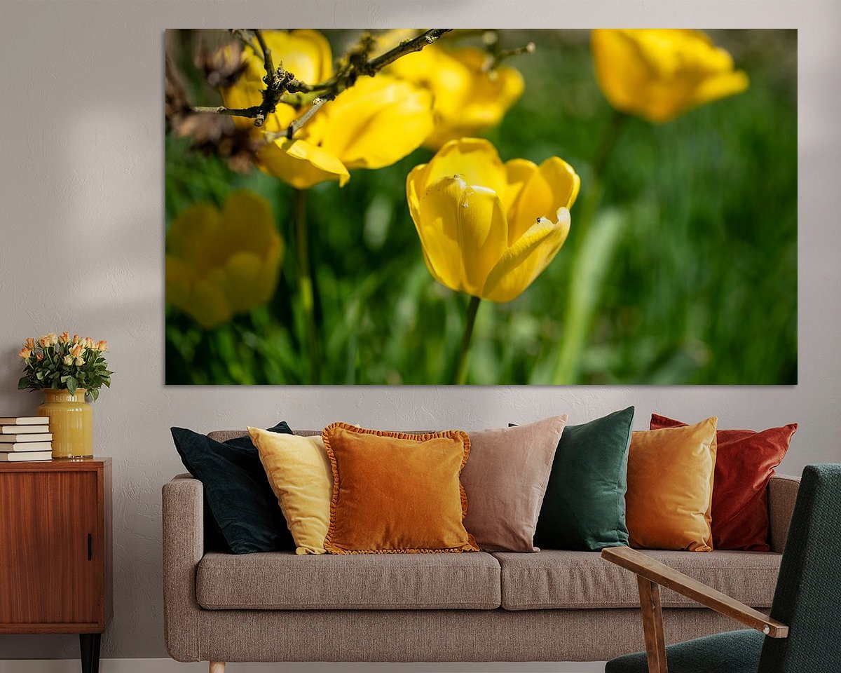 Raumvorschau