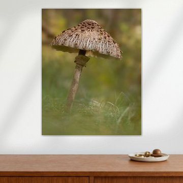 Herbstpilz