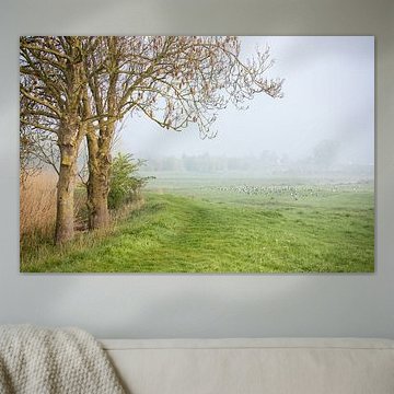 Sich auflösender Nebel von Petra Kilwinger