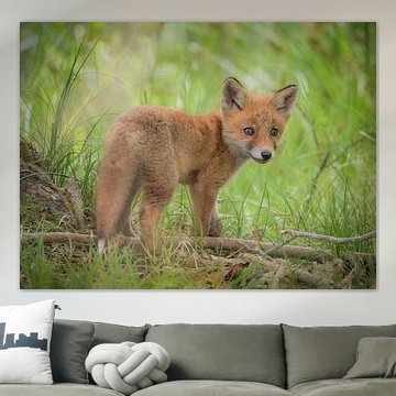 A little fox in the big wide world by Miriam van Dun