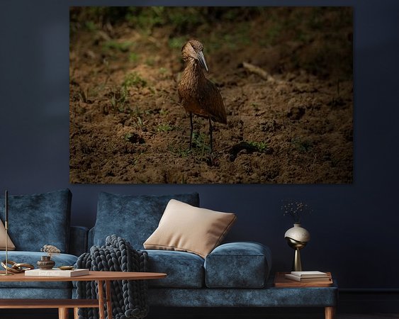 Raumvorschau