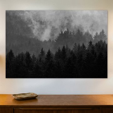 Nebel im Wald von Wisse Sluijters