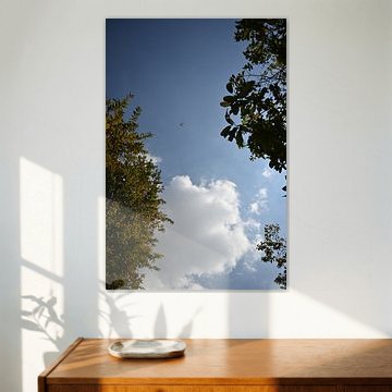Ein Flugzeug zwischen den Wolken von Minimalistic Travel Photography by.Rieneke