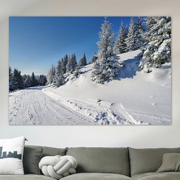 Verschneiter Bergpfad durch den vereisten Wald des Stuhlecks von Tomherkules