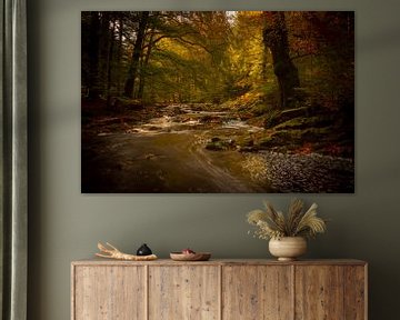 Herbstlicher Geisterwald im Hochmoor Belgien von Erwin Stevens