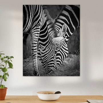 Distinctively unique by Kay Blokland