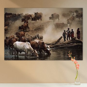 Dust above the drinking trough