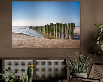 Strandlandschaft mit Stöcken im Sonnenlicht von Marcel van Balken