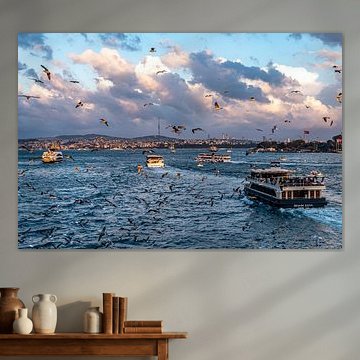 Ferries and seagulls on the Bosphorus