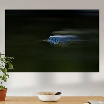 De snelle reiger van Detlef Schöler Fotografie