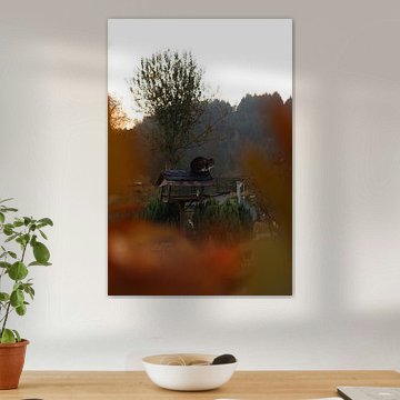 Cat on a birdhouse in autumn by Arne Vaders