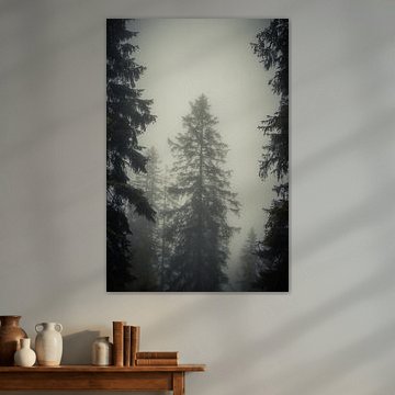 Allgäu – Wo der Wald im Nebel versinkt