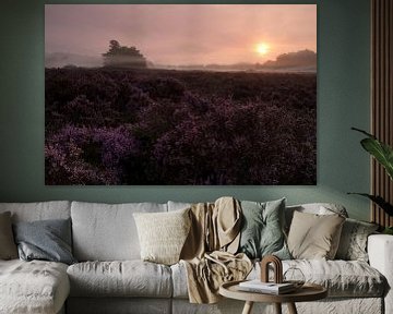 Violette Heide im Nebel auf den Dünen von Loonse und Drunense von Erwin Stevens