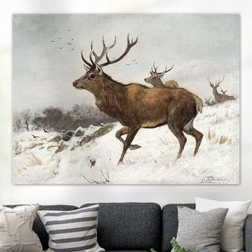 Majestic Stag in Winter
