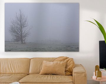 Misty horizon