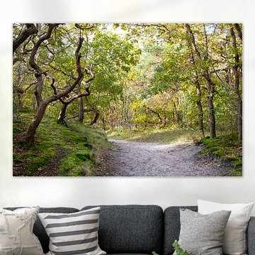 Waldspaziergang im Bergerbos, Bergen von Johanna Blankenstein