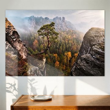 Pölking-den in het Bastei-gebied van Jens Vogel Fotografie