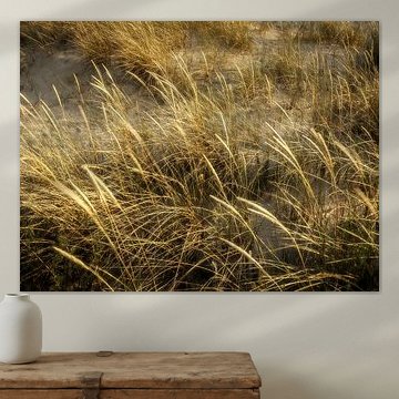 Wuivend strandgras, abstracte natuurfoto met textuur van Zane Magone