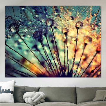 Paardenbloem met dauwdruppels van Julia Delgado