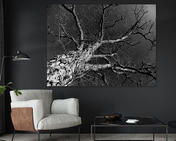 Arbre artistique sur Jessica Berendsen