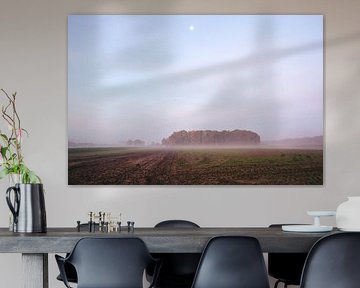 Kellerlandschaft kurz vor Sonnenaufgang