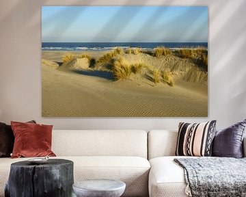 Duinen, strand en zee