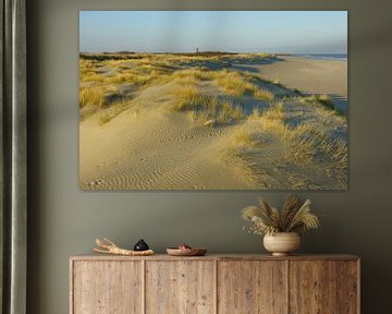 Duinen, strand en zee van Michel van Kooten