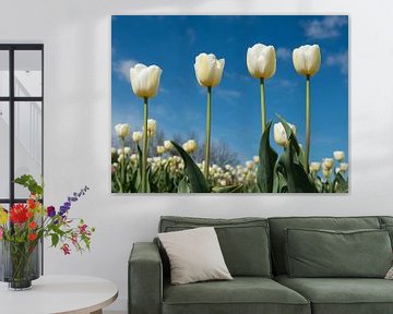 4 witte tulpen by Elles Rijsdijk