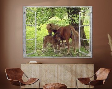 Window View - Pony by Christine Nöhmeier