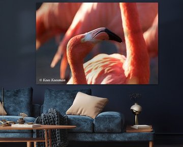 Roze Flamingo van Koos Koosman
