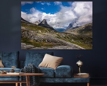 Berge in Norwegen von Rico Ködder
