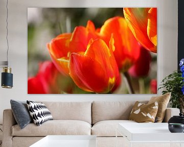 Tulips van Erich Werner