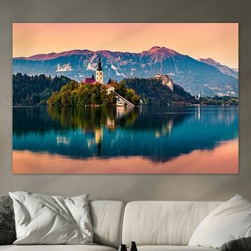 BLED 06