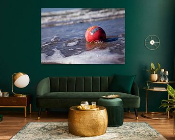 De bal en haar kleuren in zee van Willy Sybesma