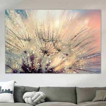 Paardenbloem mystiek - Mystical Dandelion von Julia Delgado