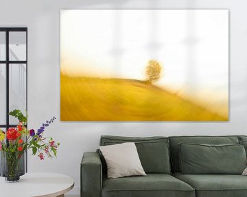 Fotografie,Abstract,Abstrait,