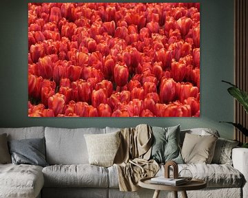 red tulips von Yvonne Blokland