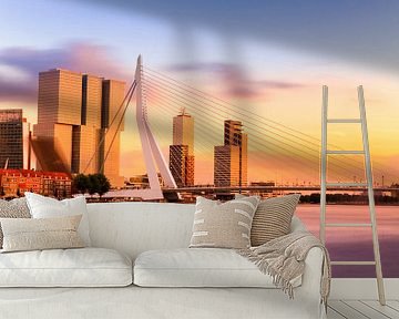 The famous Erasmus Bridge by Erwin Lodder