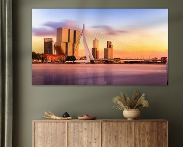 Panorama der Erasmusbrücke in Rotterdam von Erwin Lodder