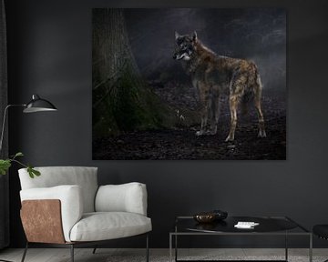 Wolf von Photographix by Moni Schmitt Monika