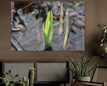 Neues Leben von Esther Rotteveel