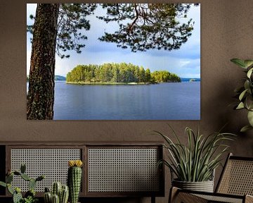 Stora Le meer in Zweden in de zomer van Sjoerd van der Wal