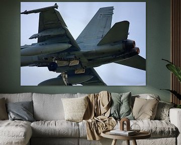 F18-Overhead von Jan Brons