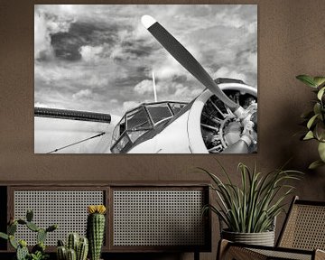 Antonov AN-2 in Black White