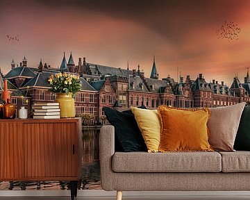 The Hague Binnenhof by Herman van den Berge