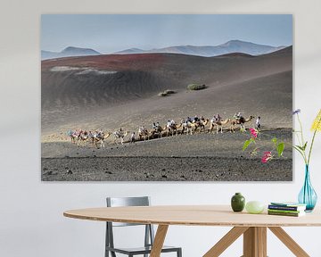 Lanzarote Parque Nacional de Timanfaya van Jurgen Hermse